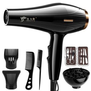 Haute Puissance Professional Hair Dryers Hot And Cold Wind + 6 Gifts